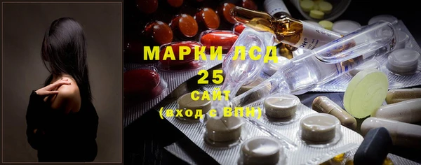 ПСИЛОЦИБИНОВЫЕ ГРИБЫ Горнозаводск