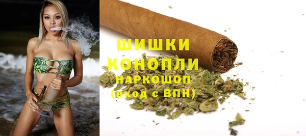 тгк Горно-Алтайск
