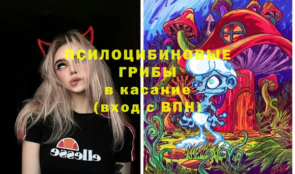 марки lsd Горняк