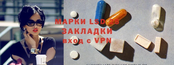 ПСИЛОЦИБИНОВЫЕ ГРИБЫ Горнозаводск