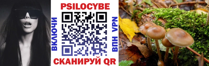 Купить  Карпинск  Галлюциногенные грибы MAGIC MUSHROOMS 